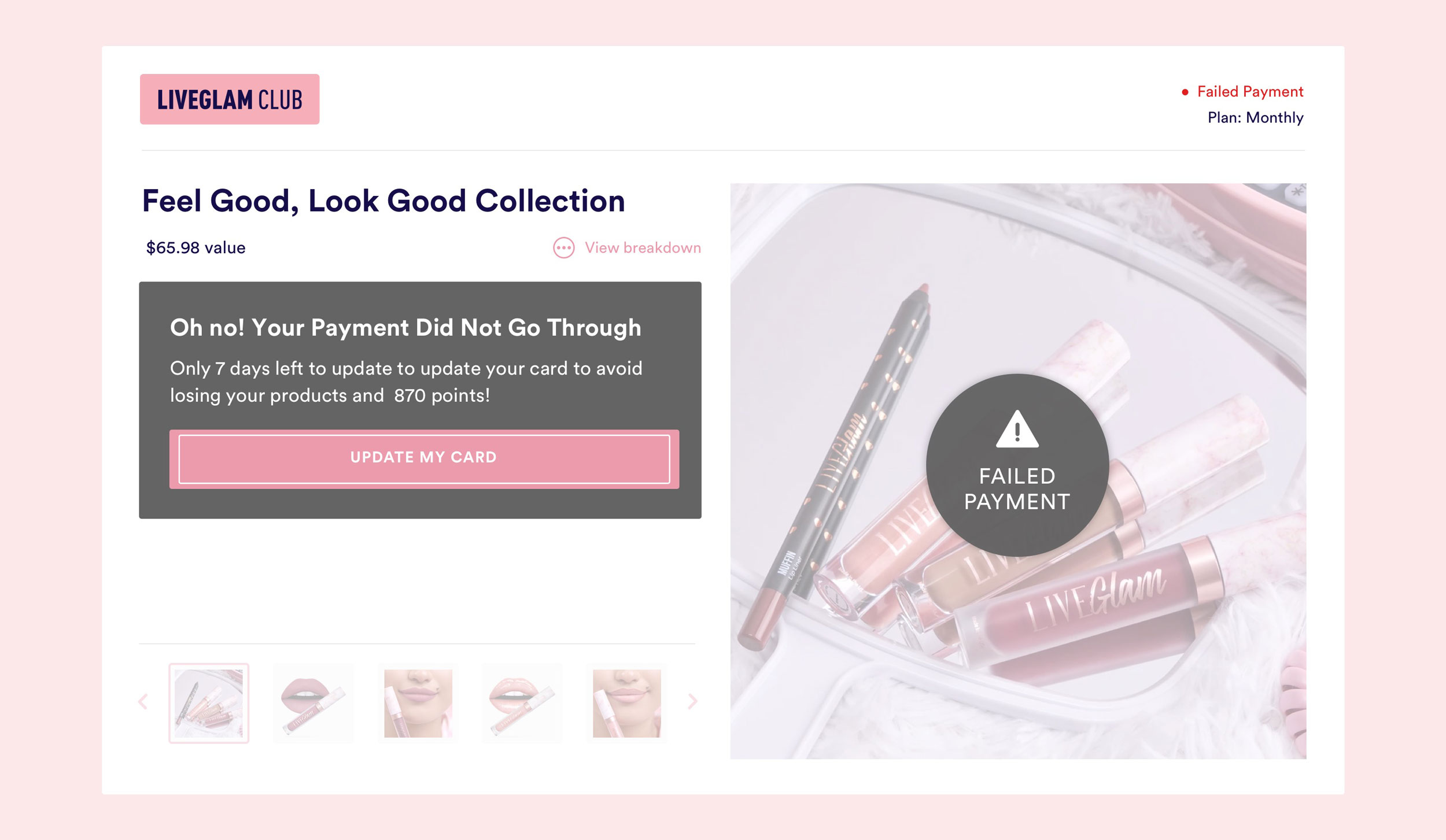 Status: Failed Payment